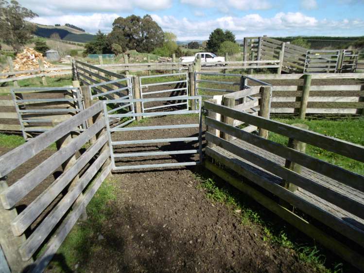 5326 Hampden-Palmerston Road Palmerston_18