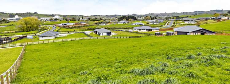 15 Peet Row Pvt Pokeno_2