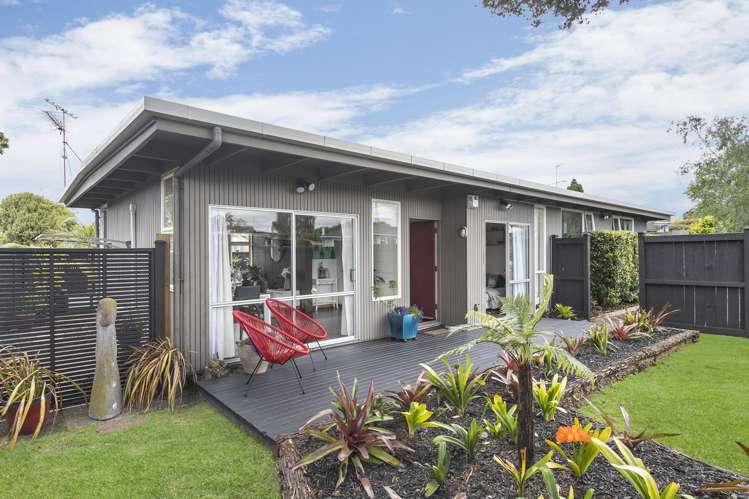 100 Elliot Street Pahurehure_7