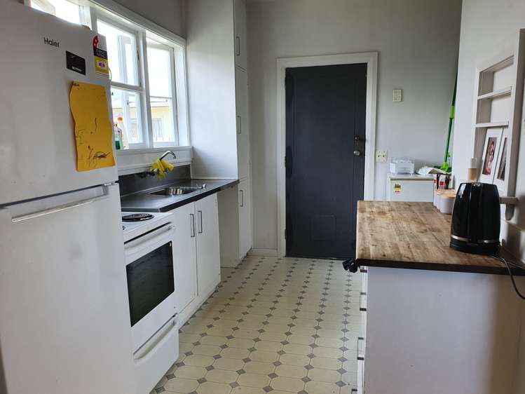 12 Guy Avenue Levin_9