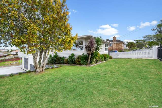 38 Peter Mulgrew Street New Windsor_1