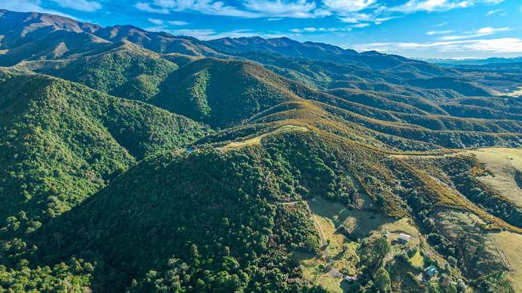 439 Engelbrechts Road Hunter_42