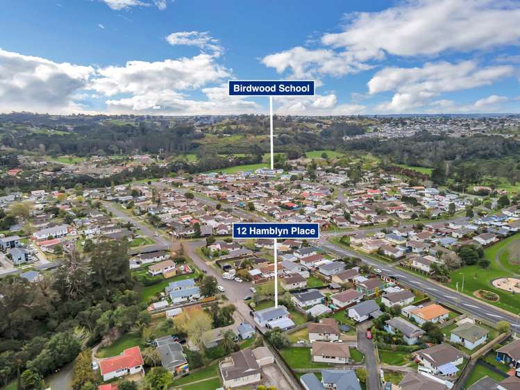 12 Hamblyn Place Ranui_13