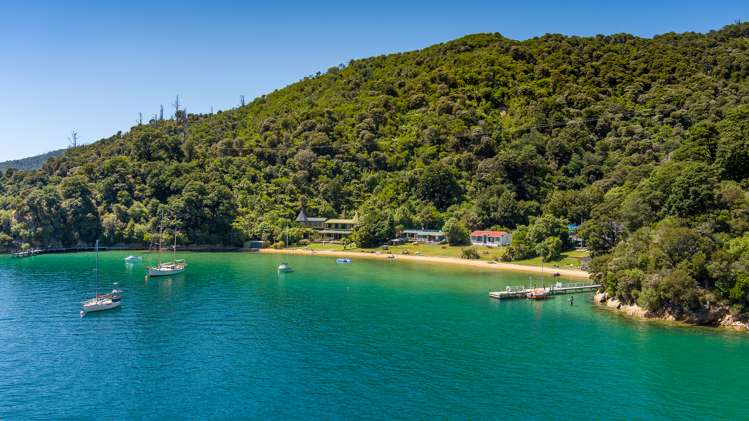 2121 Queen Charlotte Drive Anakiwa and Surrounds_14