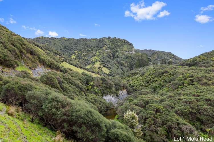 Lot 1 Moki Road, Tahora Taumarunui_22