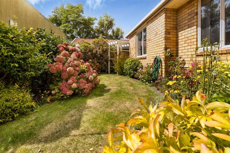 33b Litchfield Street Redwoodtown_16