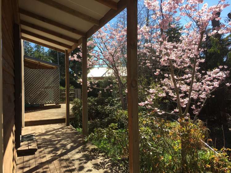 19 Ballarat Avenue Naseby_11