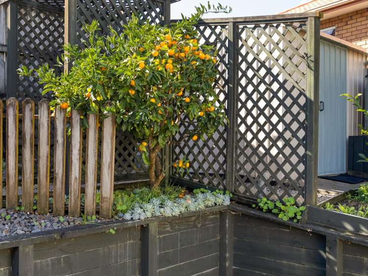 6 Glenside Rise Grandview Heights_23