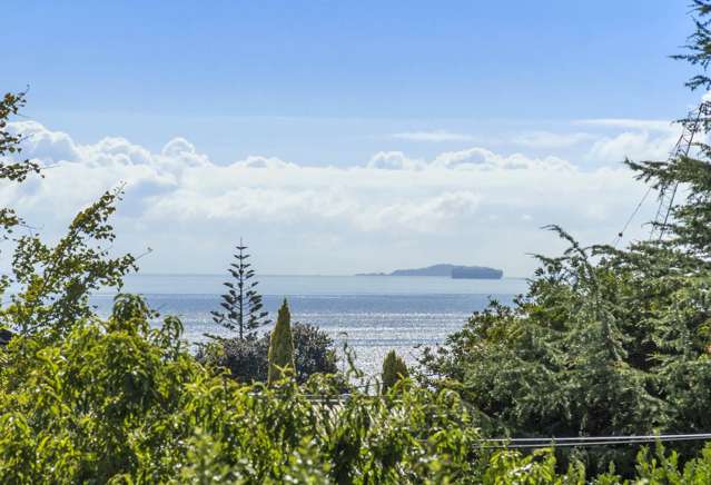 47 Hastings Road Mairangi Bay_4