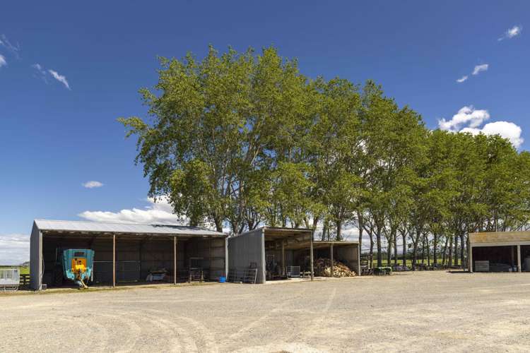 47 Wilson Road Timaru_25