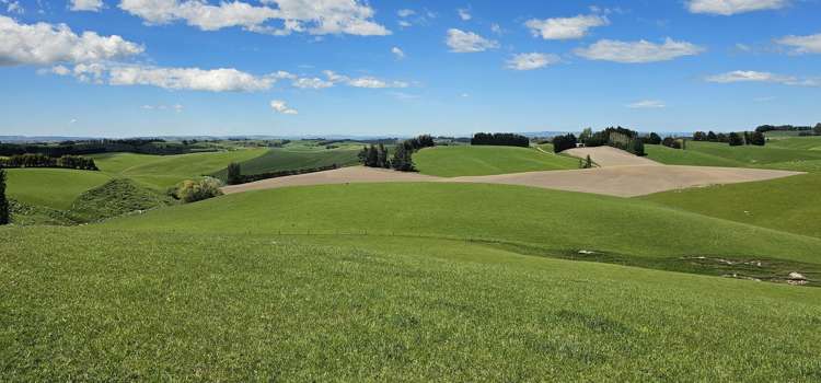 406 Byars Road Chatton North_19