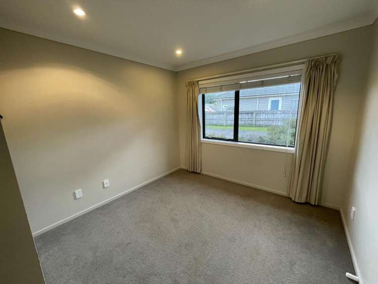 5 Catlins Glen Aotea_13