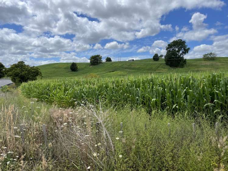 Waitomo Caves Road Waitomo_7