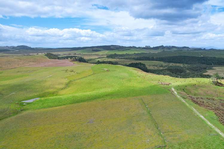 194 Toia Road Okaihau_10