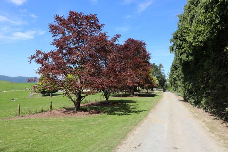 339 Rankleburn Road Pomahaka_5