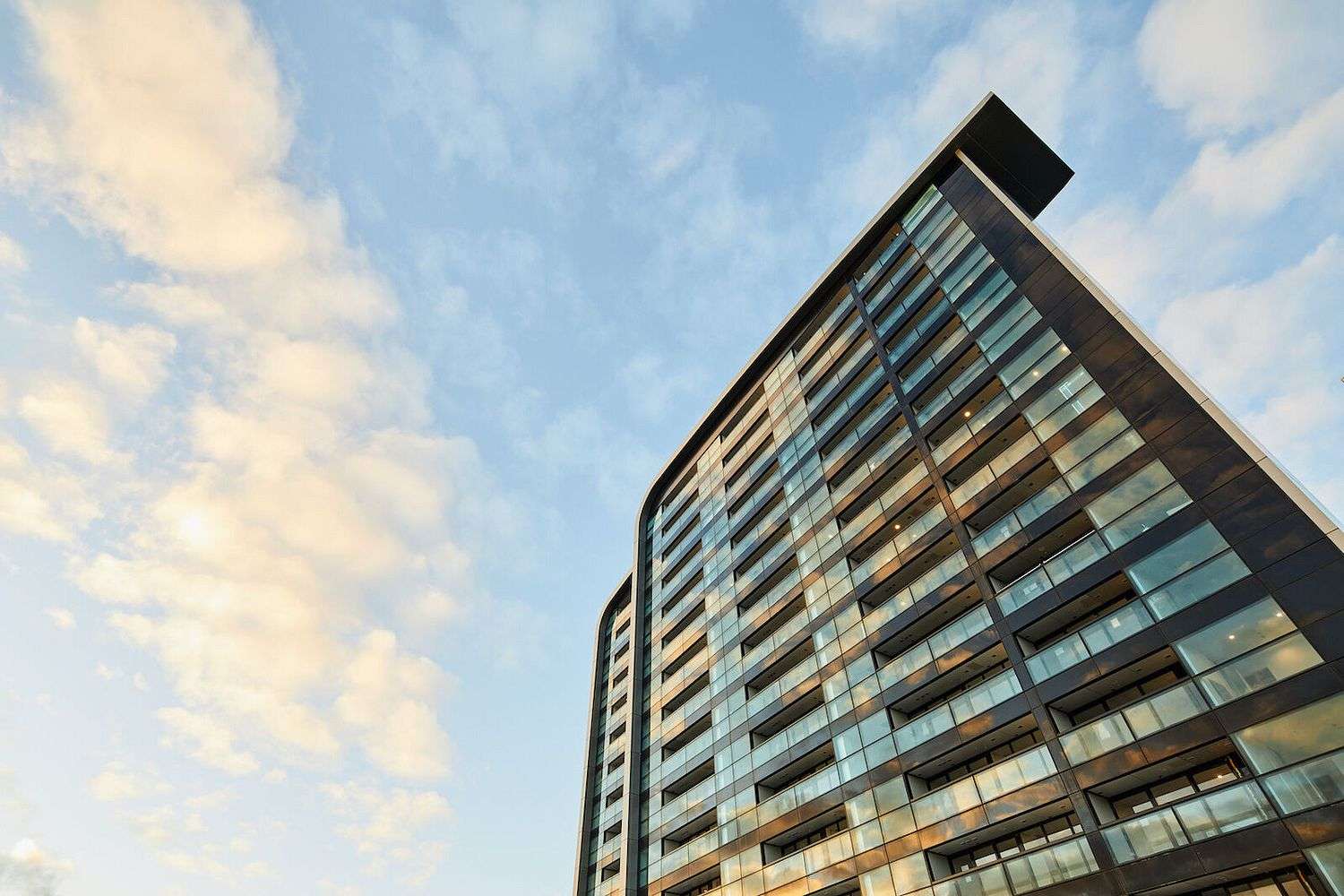 1105B/8 Lakewood Court Manukau Manukau City Houses for Rent One