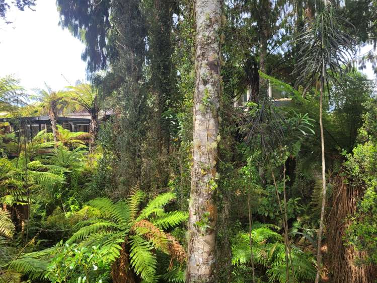 127 Brickfield Road Hokitika_47