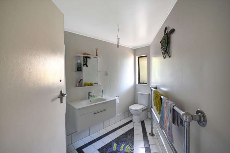 20 Ellesmere Street Ravensbourne_12