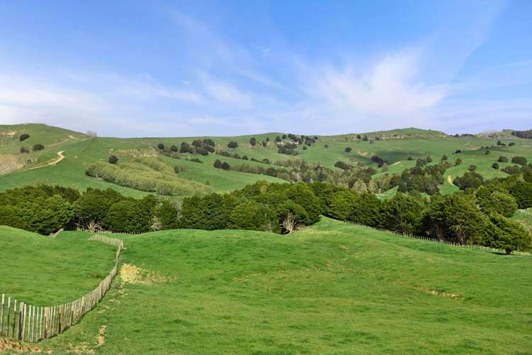 895 Wairamarama Onewhero Road Onewhero_34