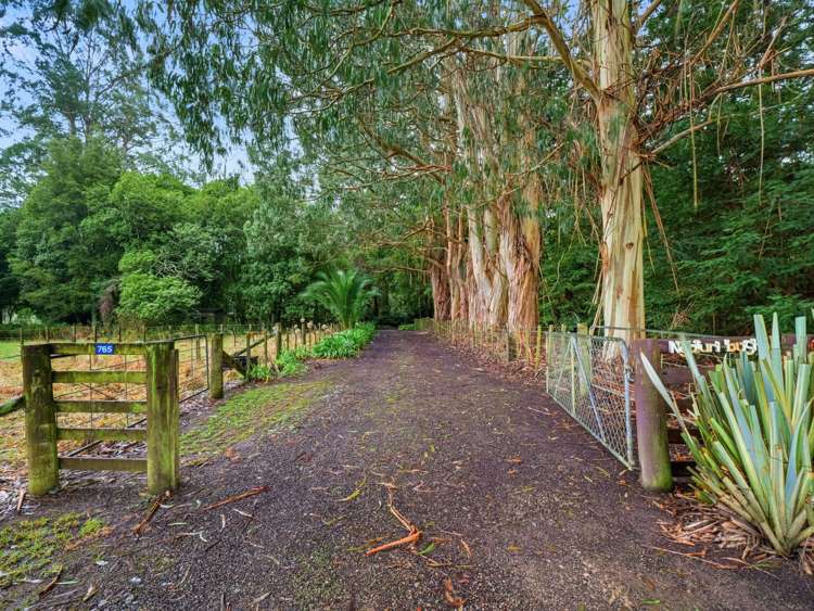 765 Pahiatua Pongaroa Road Pahiatua_1