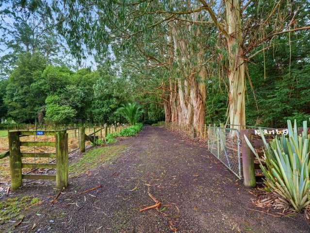 765 Pahiatua Pongaroa Road Pahiatua_2