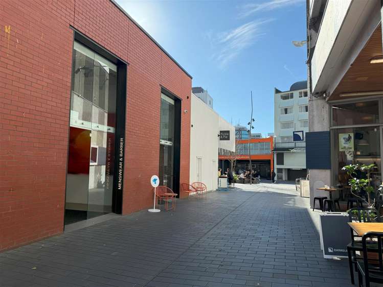 8 Lombard Lane Te Aro_2