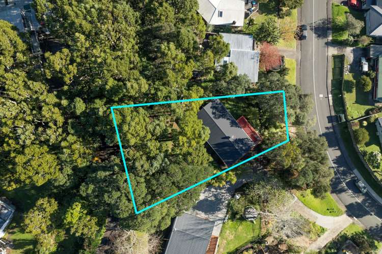 16 Daffodil Street Titirangi_17