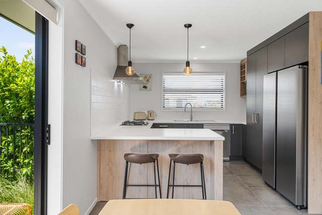 1 Fetlock Way Papamoa_1