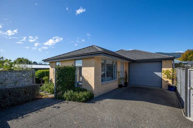 19B Andrew Street_0