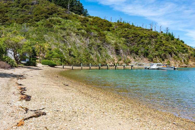 Ngaruru Bay, Tory Channel Queen Charlotte Sound_29