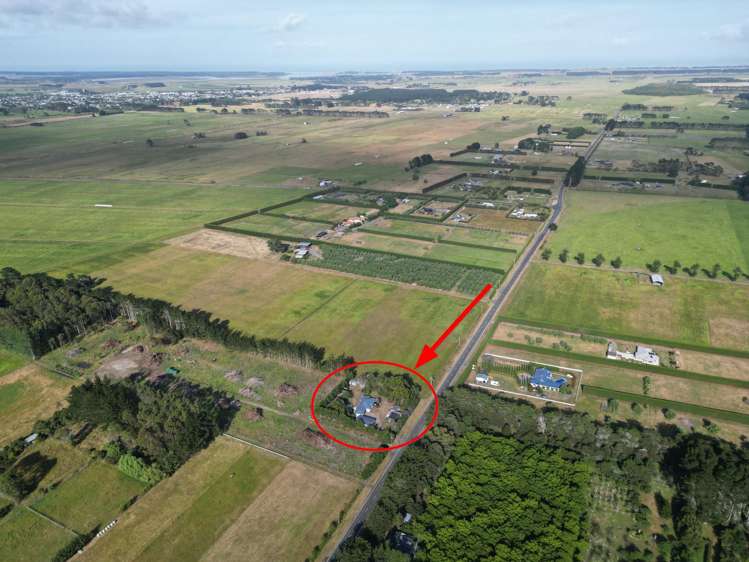 264 Motuiti Road Foxton_31