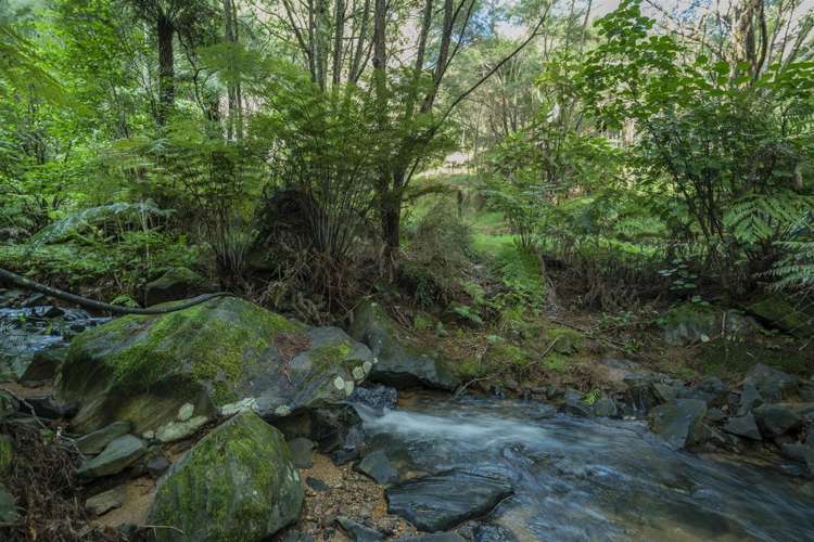 495 Mill Creek Road Kaimarama_20