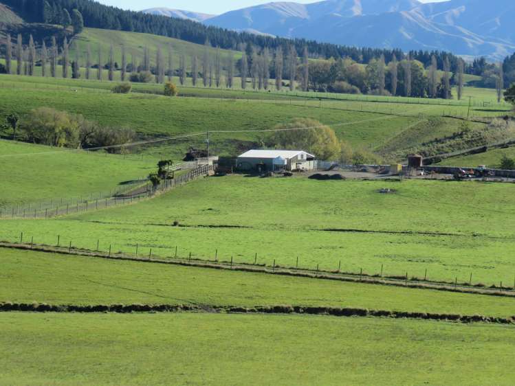 60 Woodside Road Geraldine_4