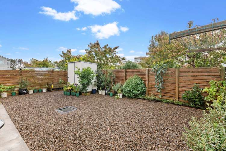 6 Divide Loop Takanini_14