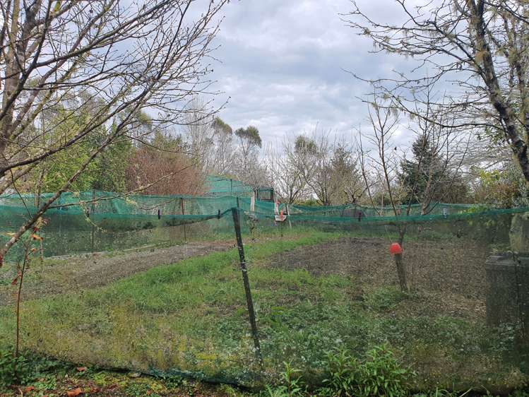 70 Russell Road Kaniere_28