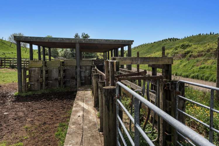 103 Rendall Road Rotoma_18