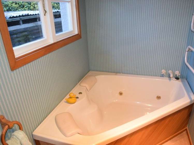 326 Tay Street Turnbull Thomson Park_12