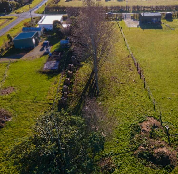 Nottingham Street Hampden_1