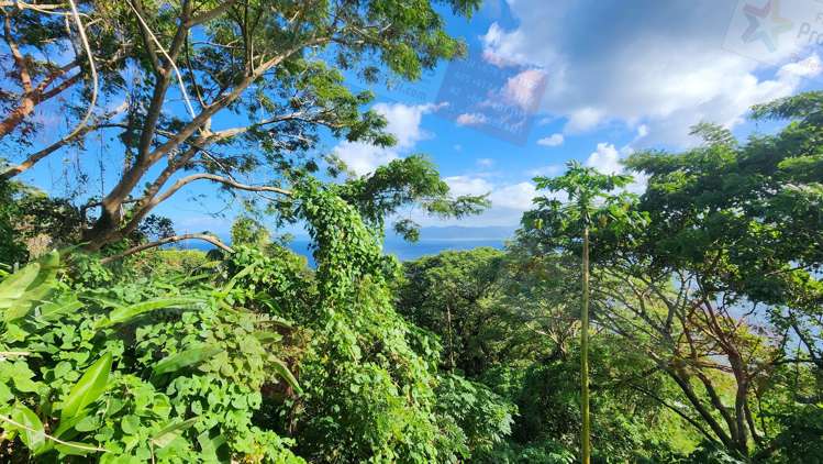 Address withheld Savusavu_11
