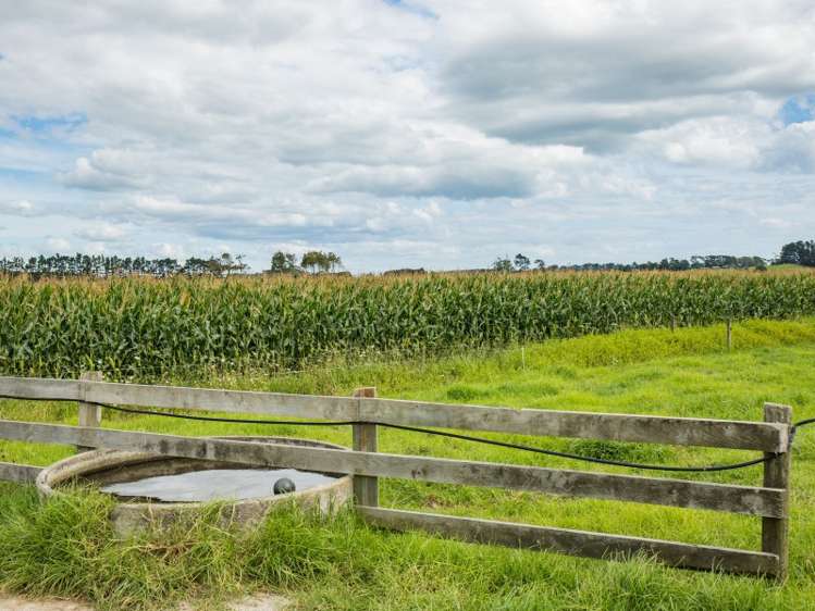 245 Opanake Road Dargaville Surrounds_23