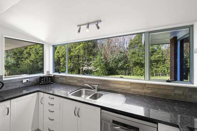 1058 Old Mountain Road Raglan_6