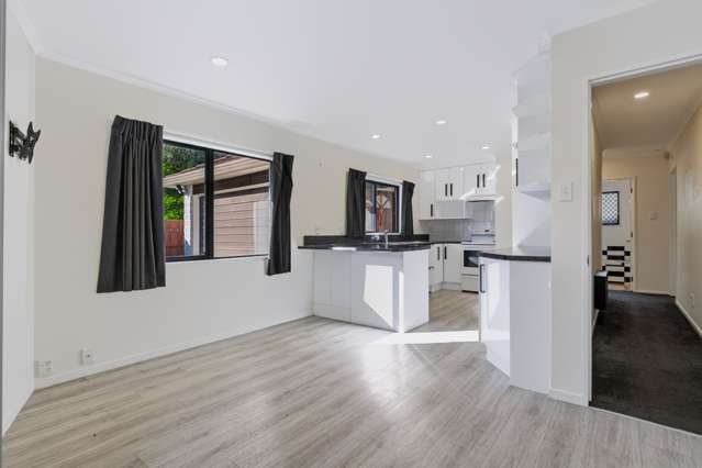 536A Ferguson Street Palmerston North_1