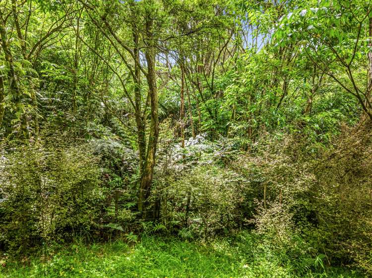 1733 Ararimu Road Hunua_27