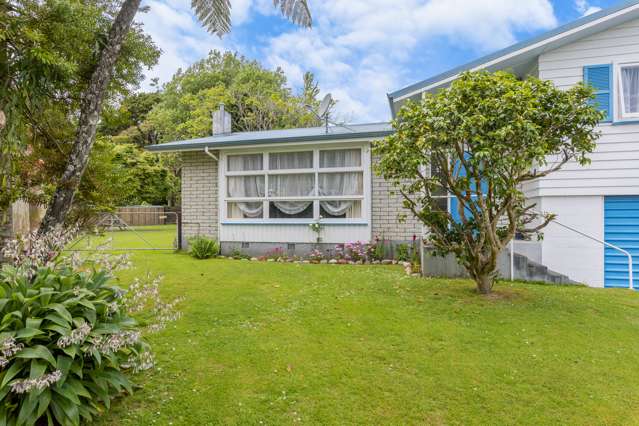 7 Halsey Street Levin_1