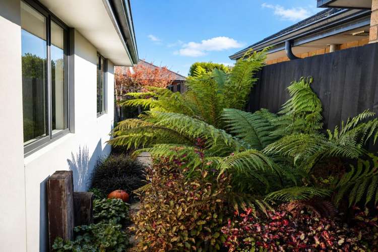25 Limbrick Crescent Wigram_11