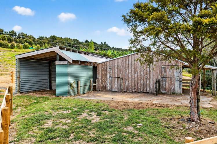 Lot 1, 1083 Kaiwaka Mangawhai Road Mangawhai_28