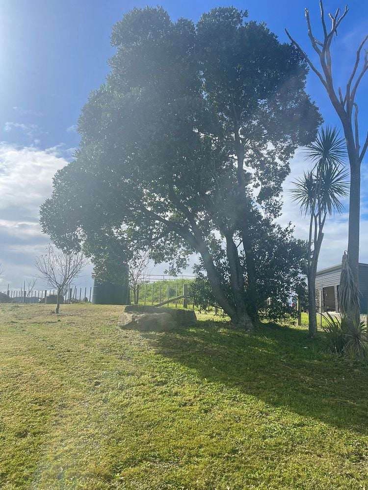 47 Orchard Lane Mangawhai_16