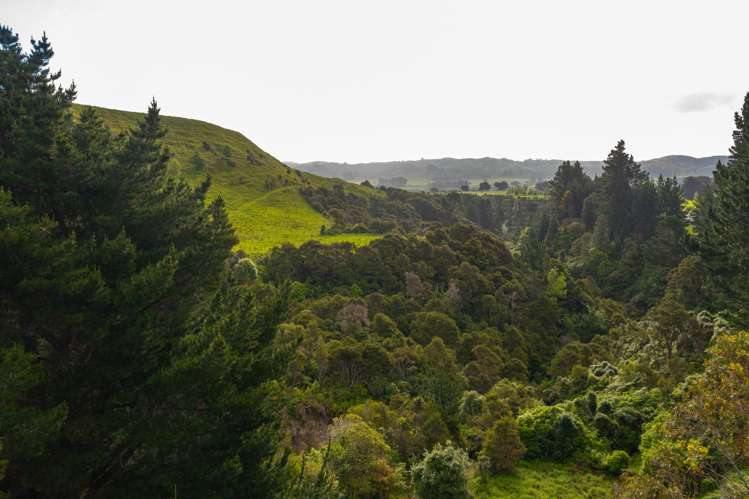 52 No 4 Line Ashhurst_3