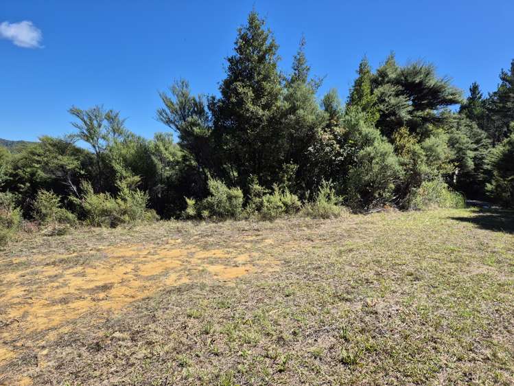 795 Tuateawa Road Waikawau_6