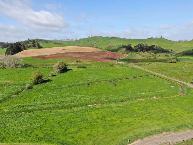 48 Barber Road Otewa_3